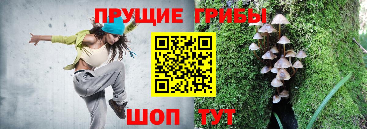 купить наркотик  Псилоцибиновые грибы ЛСД  Вход с VPN  Галлюциногенные грибы Magic Shrooms  Улан-Удэ 