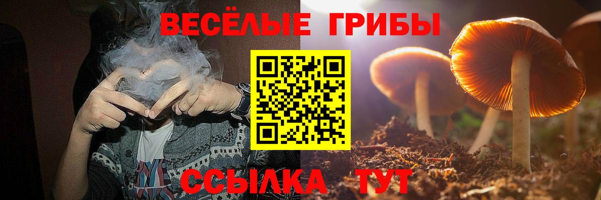 Галлюциногенные грибы Psilocybe Улан-Удэ